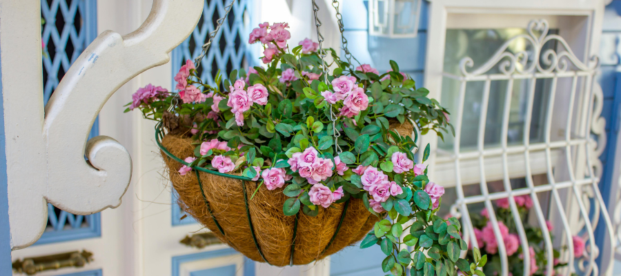 Hanging plant basket with bushy pink flowers.