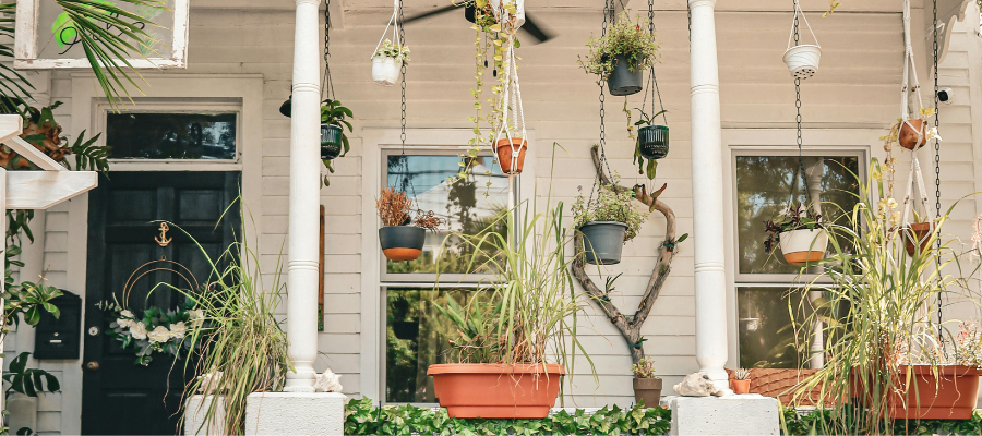 Sunnyfront porch with many hanging plants and potted greenery throughout the space.
