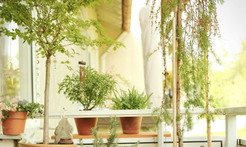 City balcony garden filled with many potted houseplants in natural light.