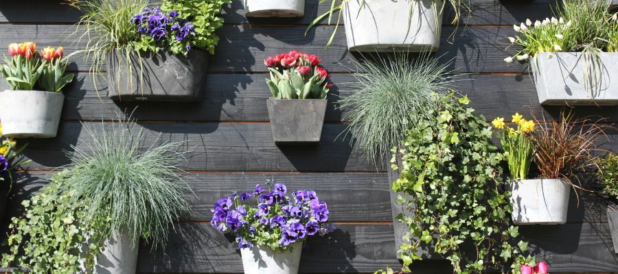 Large garden wall with multiple planters filled with a variety of plants.